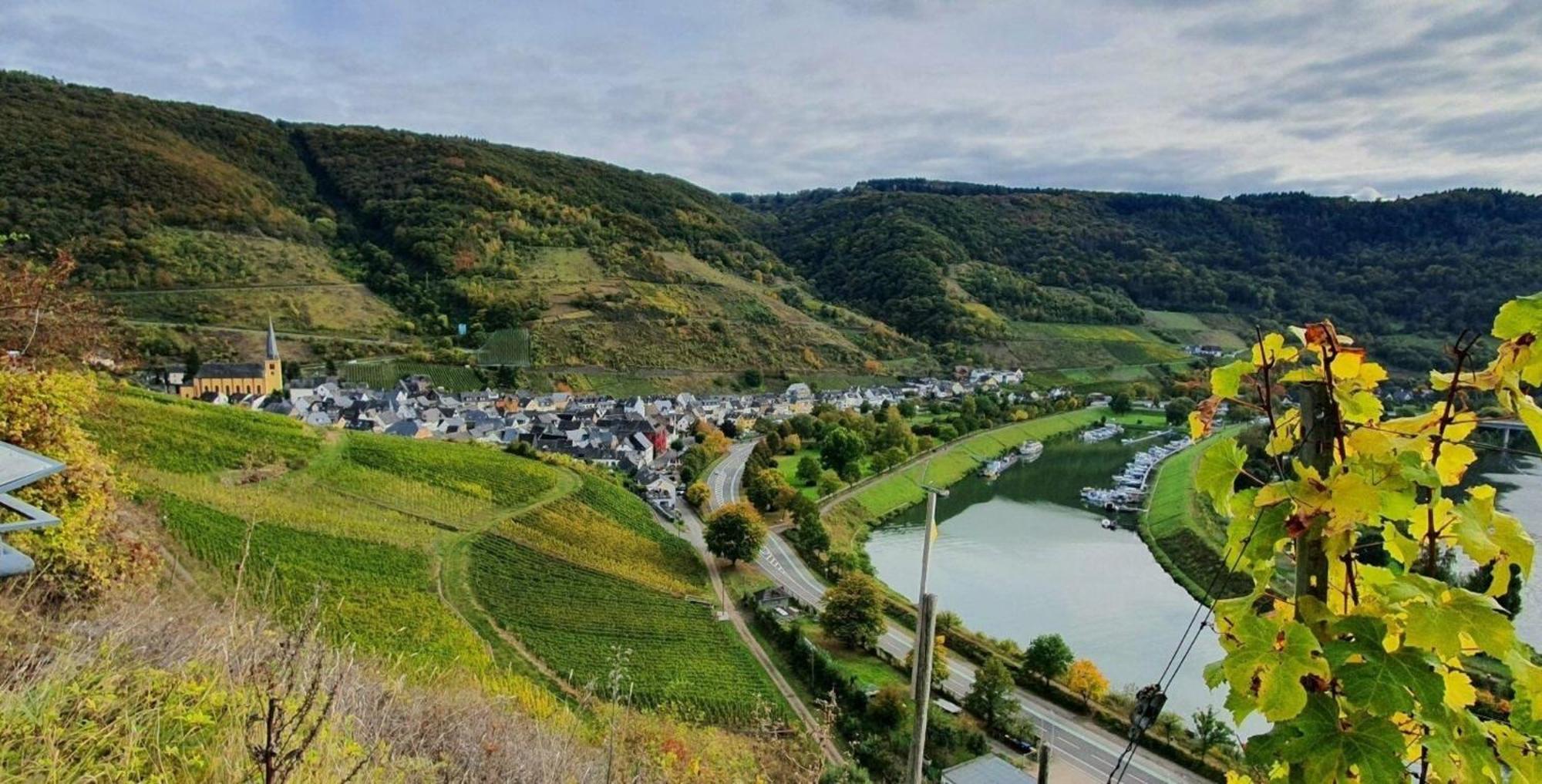 Ferienwohnung An Der Mosel, Romeo Senheim Bagian luar foto