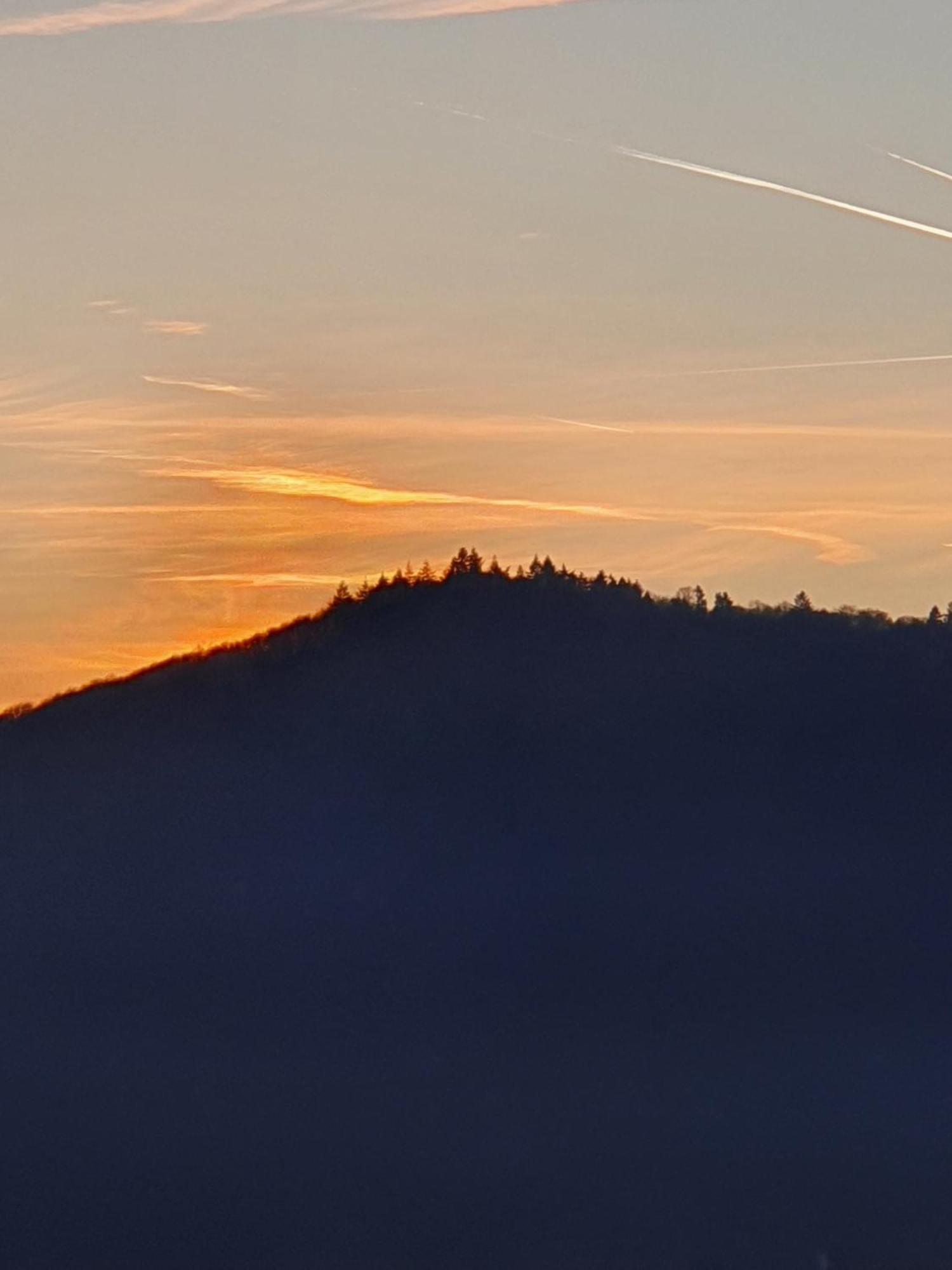 Ferienwohnung An Der Mosel, Romeo Senheim Bagian luar foto