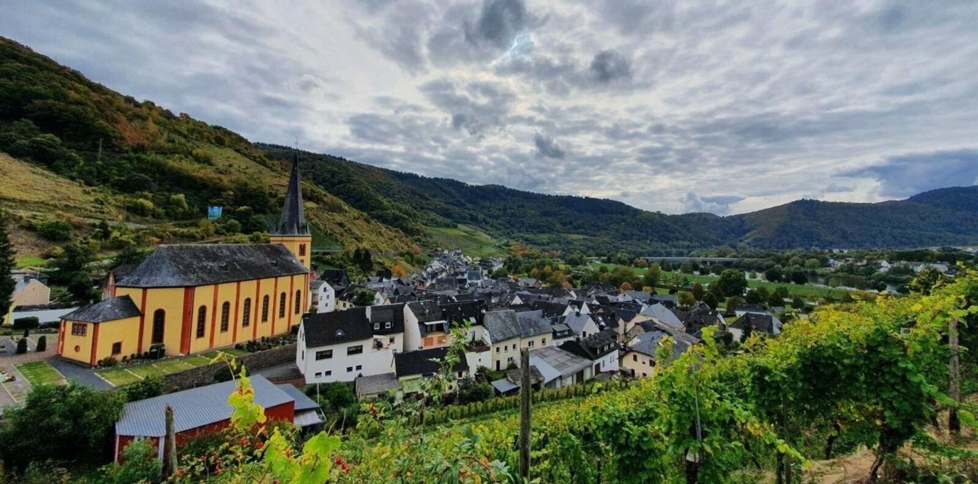 Ferienwohnung An Der Mosel, Romeo Senheim Bagian luar foto